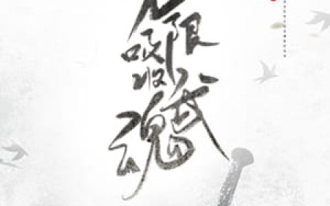 《我可以无限吸收武魂》小说最新章节，叶辰龙银泰全文免费在线阅读