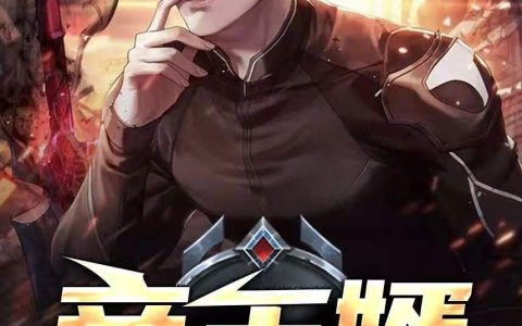 顾南飞《帝王婿（又名昆仑神将）》顾南飞叶辰小说免费阅读