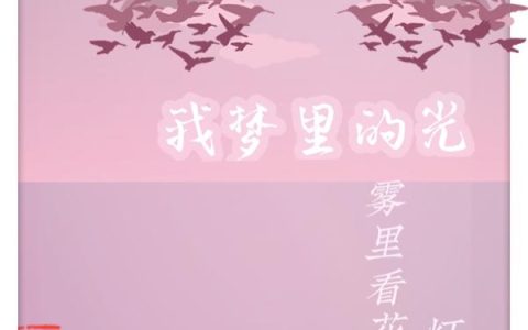 我梦里的光苏雾,赵宜，我梦里的光小说免费阅读