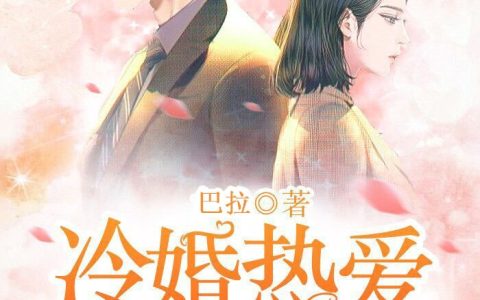 冷婚热爱：厉少离婚吧乔安安厉司尘，冷婚热爱：厉少离婚吧小说免费阅读