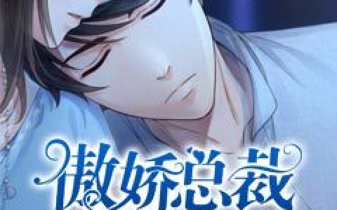苏西晨,陆项霖小说《傲娇总裁很专情》全文免费阅读