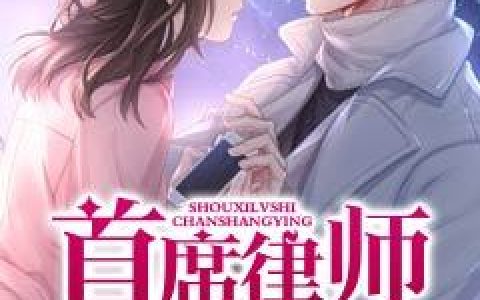 小说《首席律师缠上瘾》沈烨,沈律师完整版免费阅读