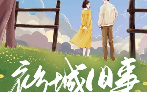 衫城旧事（沈不渝,季司川）小说在哪里可以看