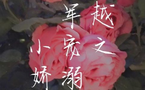 韩府,韩越勤《穿越之将军溺宠小娇妻》小说全文免费阅读
