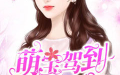 白洛,楚墨风《萌宝驾到总裁抱抱》小说全文免费阅读