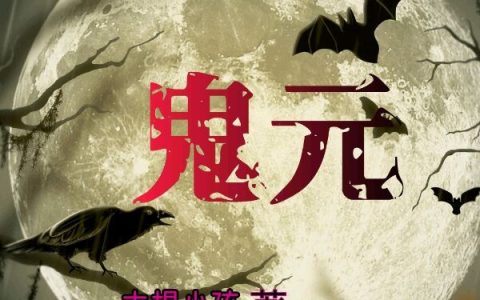 小说辰夜,辰夜刚《鬼元》在线全文免费阅读
