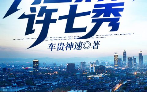 为国捐躯许七秀许七秀,郑朝龙，为国捐躯许七秀小说免费阅读