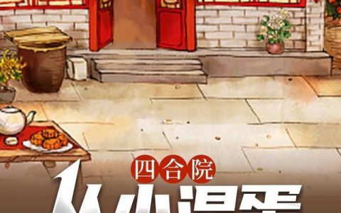 康九,康母小说《四合院：从小混蛋康九开始》全文免费阅读