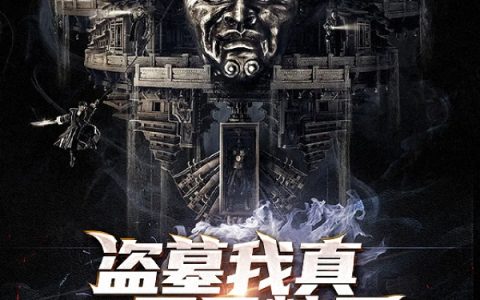 盗墓我真不是粽子（吴邪,顾长卿）最新章节在线免费阅读