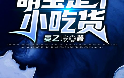 叶丰,小宝《种田奶爸：萌宝是个小吃货》小说全文免费阅读
