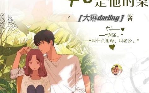 大琳darling《她是他的梨》舒梨,刘莉小说免费阅读