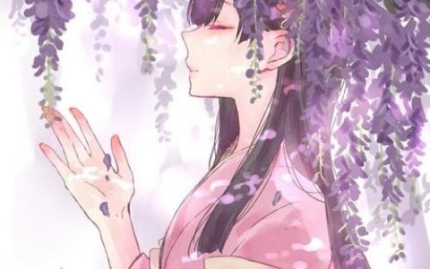 沈云鸢沈静芙小说《沈云鸢沈静芙/你曾许我一生流光》免费在线阅读