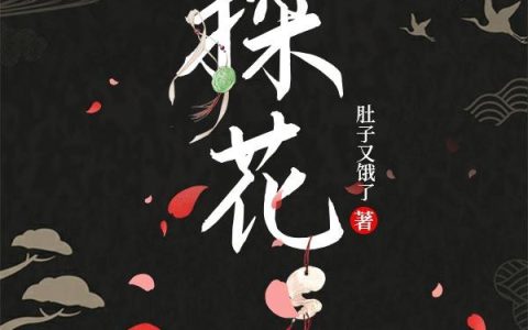 小说张银行 阮帆《探花》在线全文免费阅读