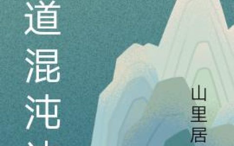 小说《霸道混沌诀》杨林 叶老完整版免费阅读
