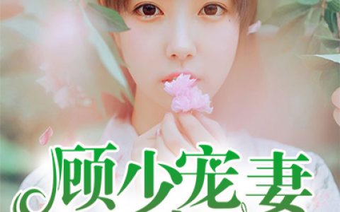 夏琳 夏菲儿小说《顾少宠妻有点甜》全文免费阅读