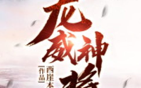 《龙威神将》小说最新章节，苏辰 苏河全文免费在线阅读