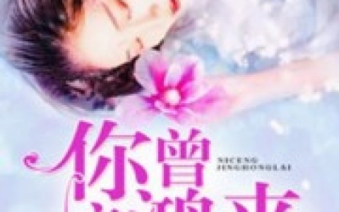 岑星迟 骆明川你若惊鸿来小说免费阅读
