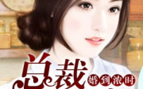 陆墨南 牛郎小说全文免费阅读，《婚到浓时，总裁请淡定》最新章节