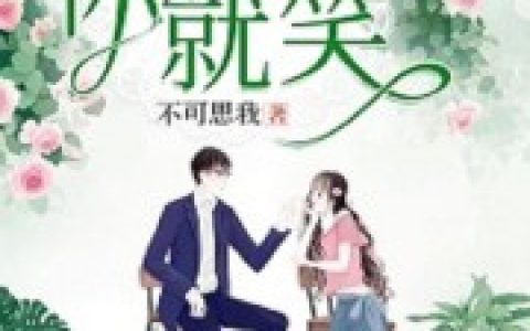 叶蓁 陆衡小说《一见你就笑》全文免费阅读
