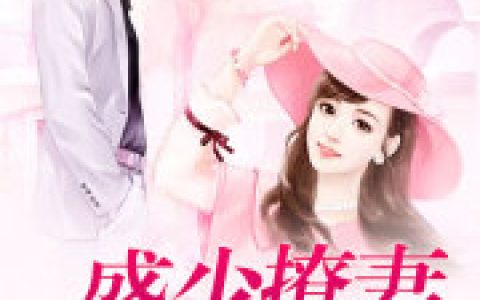 小说《盛少撩妻100式》李新亮 叶艳完整版免费阅读