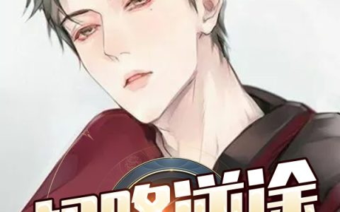 林锋权 迟冬梅权路逆途小说免费阅读