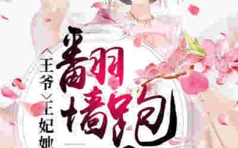 《王爷，王妃她翻墙跑了》小说最新章节，萧正则宁元婧全文免费在线阅读