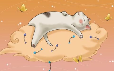赖猪 胡老师小说全文免费阅读，《长生不老仙》最新章节