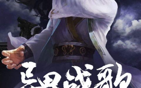 《异界战歌之死枪传说》赵子羽老许小说免费阅读