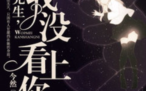 钟先生，我没看上你最新章节，宋绯庄映秋全文免费阅读