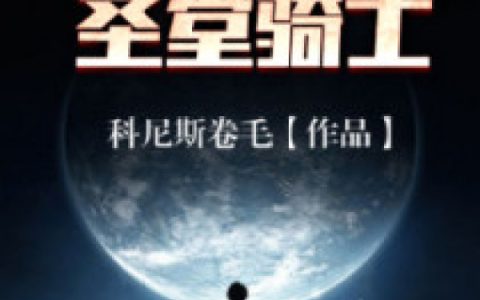 文森特紫雷小说《叛逆之圣堂骑士》全文免费阅读