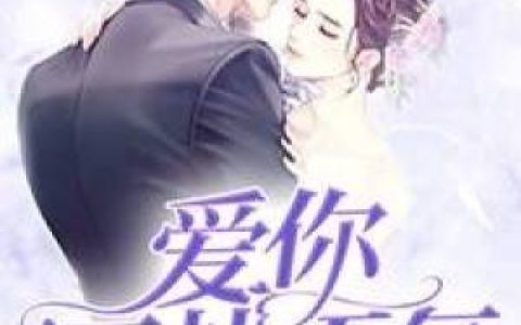 《爱你，万劫不复》沈毅寒韩小小说免费阅读