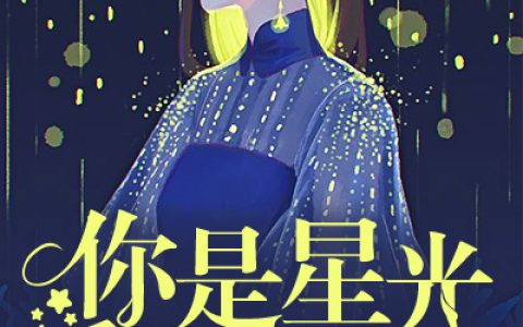 小说《你是星光遥不可及》陆微温陆先生完整版免费阅读