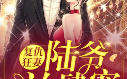 求小说《复仇狂妻：陆爷，放肆宠！》全文免费阅读资源！