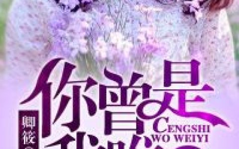 微信小说看到的《你曾是我唯一》求最新章节