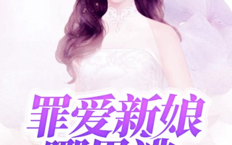顾兮辞陆聿臻小说最新章节列表