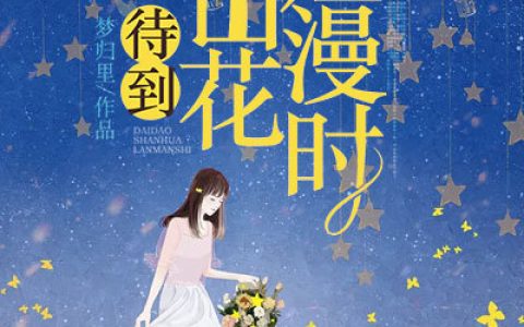 待到山花烂漫时(沈言悦萧临琛)小说在哪里看?