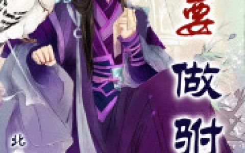 穿越大明朝当驸马(李节朱玉宁)小说在哪里看?