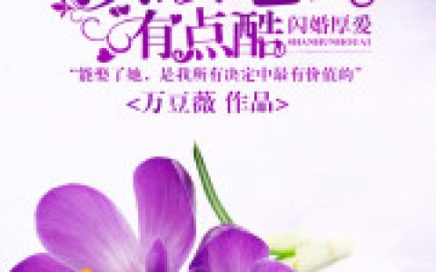 微信小说看到的《遇上你是我的小确幸》求最新章节