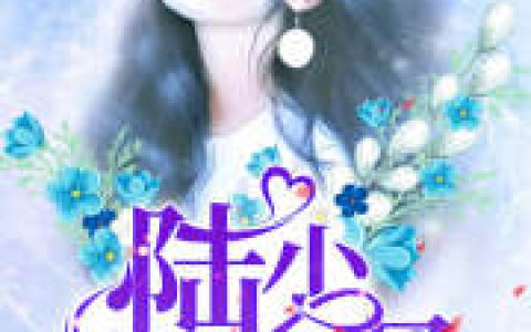 主角叫陆景琛许暖《陆少，宠你入骨》书籍章节列表