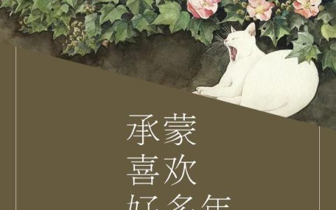 求小说《承蒙喜欢好多年》全文免费阅读资源！