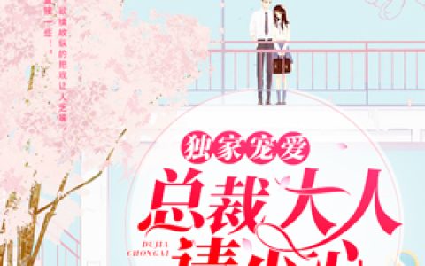 求小说《独家宠爱：总裁大人请小心》全文免费阅读资源！