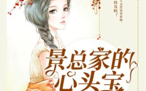 求小说《景总家的心头宝》全文免费阅读资源！