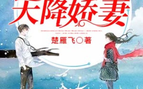 微信小说看到的《韩少的天降娇妻》求最新章节