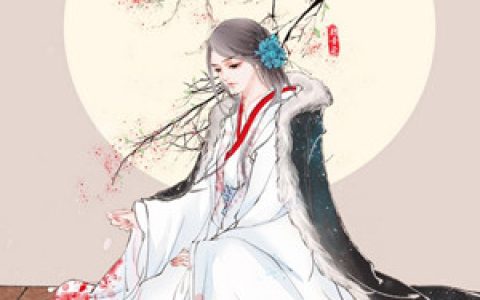 微信小说看到的《九州追妻记》求最新章节
