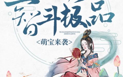萌宝来袭：王妃今天又在智斗极品最新的章节怎么看?