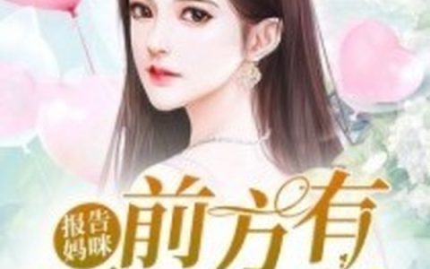 主角叫叶思诺苏雨涵《报告妈咪：前方有两个爹地》书籍章节列表