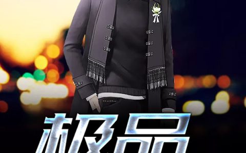 微信小说看到的《极品宗师》求最新章节