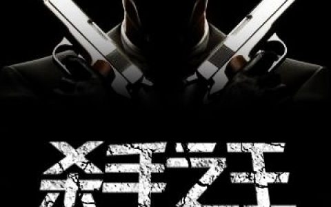 求小说《杀手之王》全文免费阅读资源！