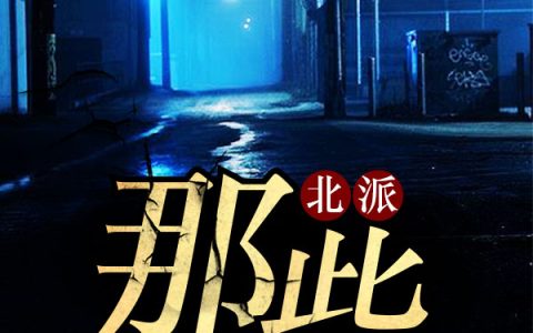 求小说《北派那些事儿》全文免费阅读资源！