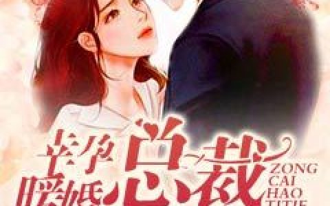 求小说《幸孕暖婚总裁好体贴》全文免费阅读资源！